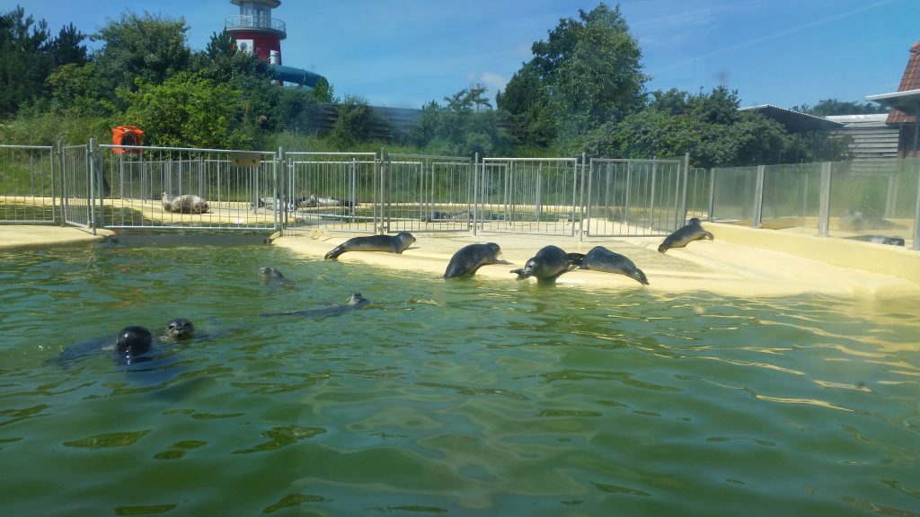 Seehundestation Norddeich