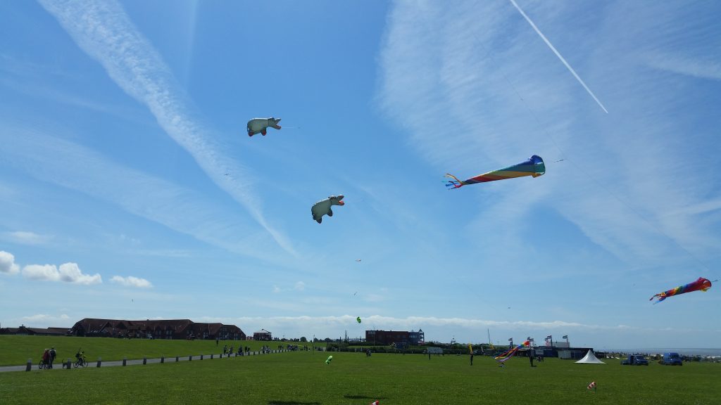 Drachenwiese Norddeich