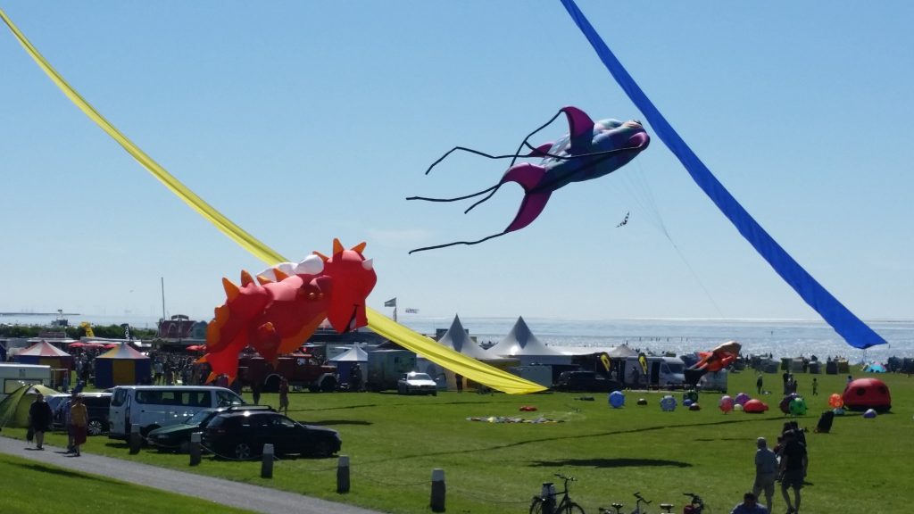 Drachenwiese Norddeich