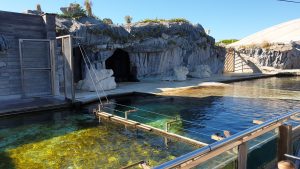 Seaquarium in Le Grau du roi