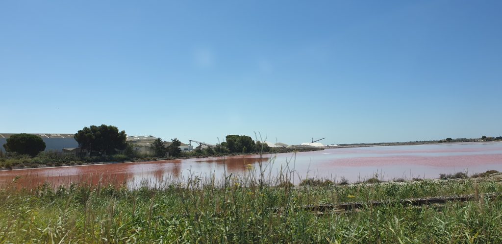 Salinen von Aigues-Mortes