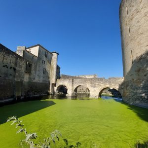 Aigues-Mortes