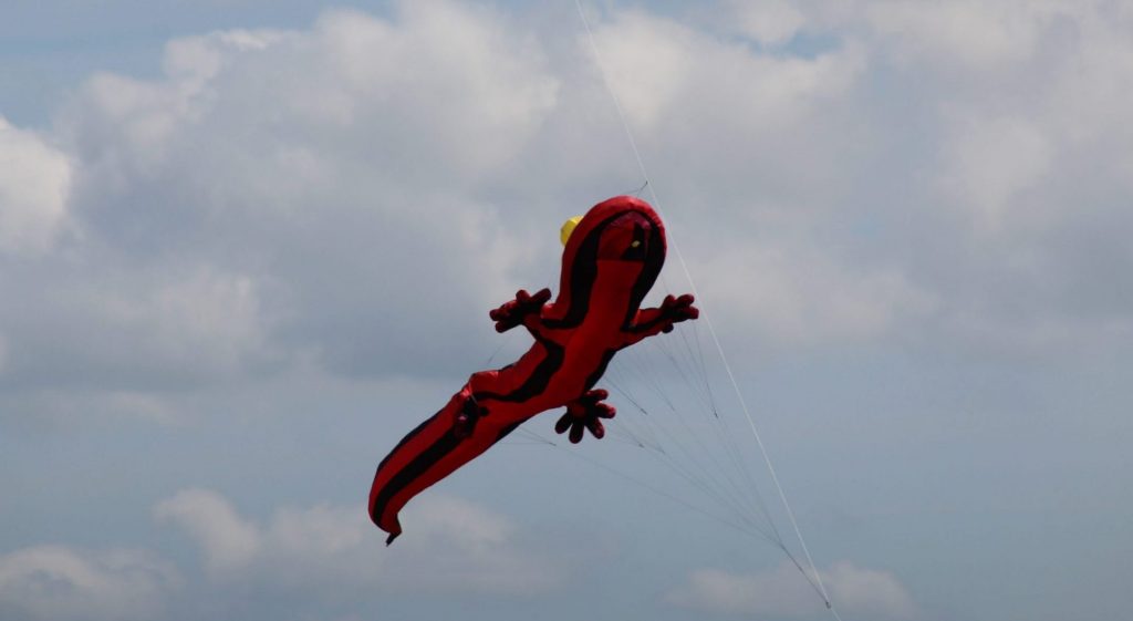 Drachenwiese Norddeich